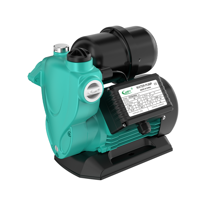 1WZB/A automatisk selvansugende pumpe